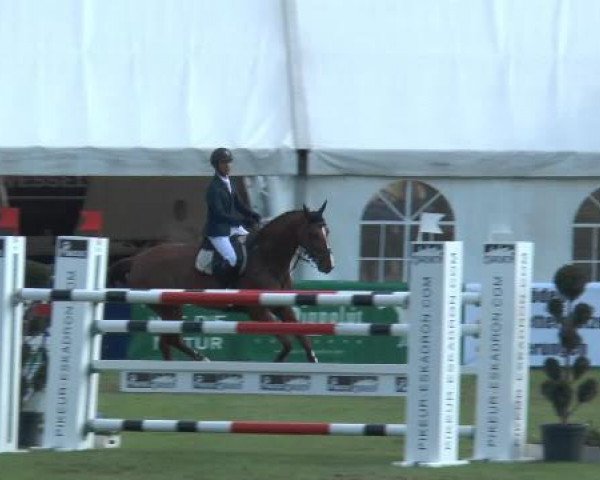 FEI Reitturnier Steinhagen (GER) 2014
