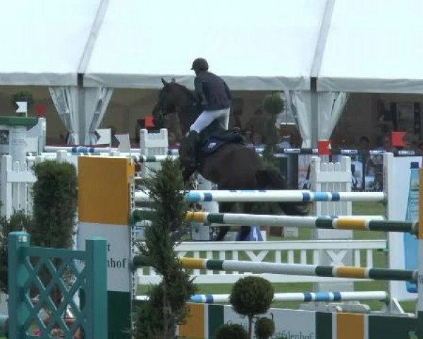 FEI Reitturnier Steinhagen (GER) 2014