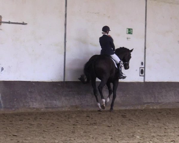 Reitturnier Ascheberg 2021