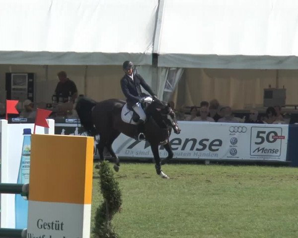 FEI Reitturnier Steinhagen (GER) 2014