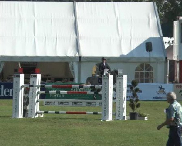 FEI Reitturnier Steinhagen (GER) 2014