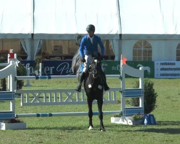 FEI Reitturnier Steinhagen (GER) 2014