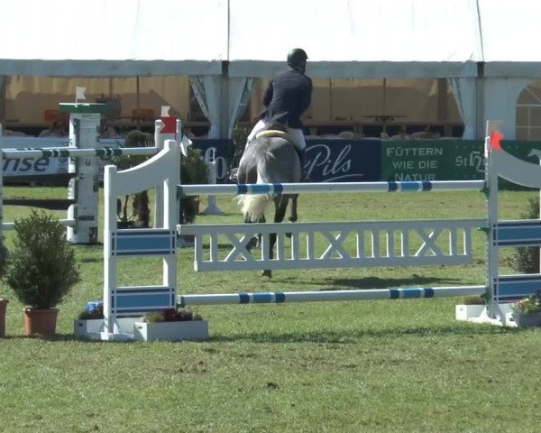 FEI Reitturnier Steinhagen (GER) 2014