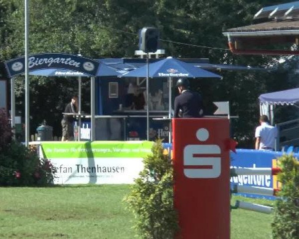 FEI Reitturnier Steinhagen (GER) 2014