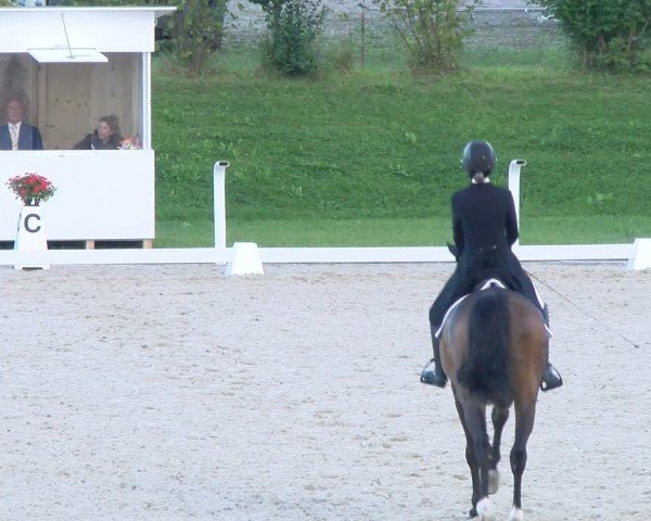 Torneo Equestre Bülach 2025
