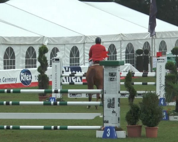 FEI Reitturnier Steinhagen (GER) 2014