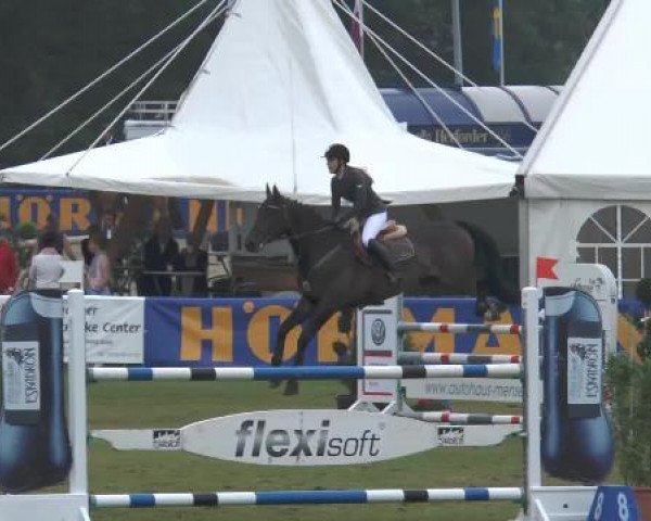 FEI Reitturnier Steinhagen (GER) 2014