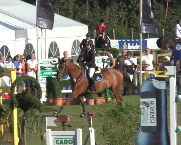 FEI Reitturnier Steinhagen (GER) 2014