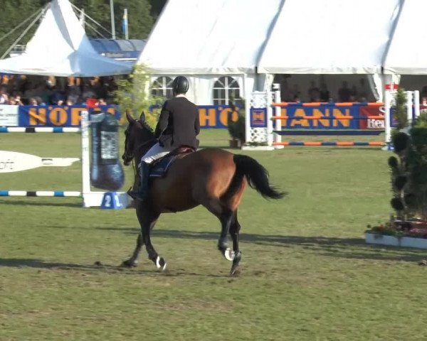 FEI Reitturnier Steinhagen (GER) 2014