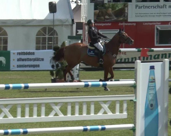 FEI Reitturnier Steinhagen (GER) 2014