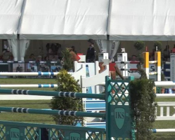 FEI Reitturnier Steinhagen (GER) 2014