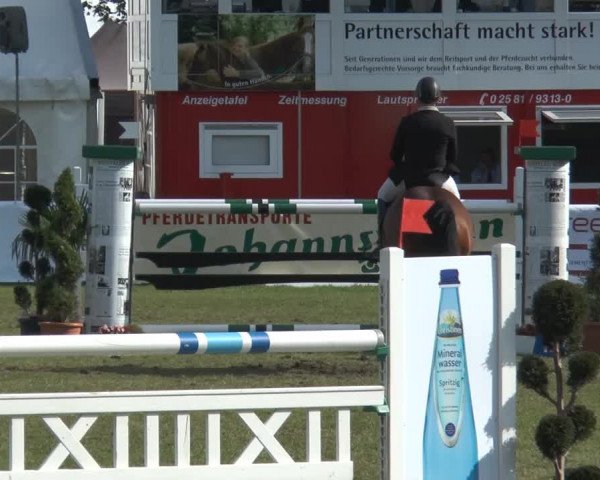 FEI Reitturnier Steinhagen (GER) 2014