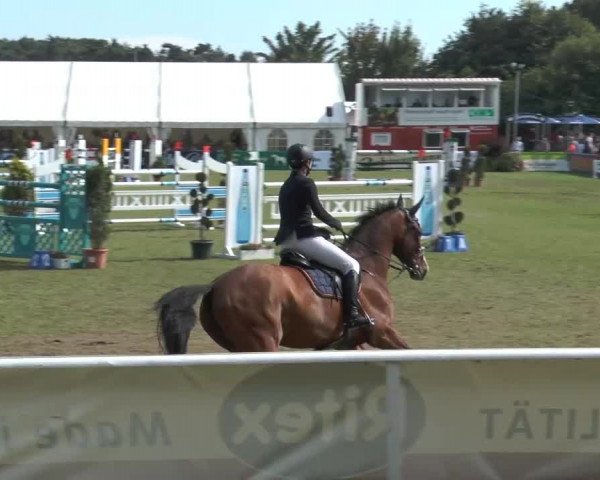 FEI Reitturnier Steinhagen (GER) 2014
