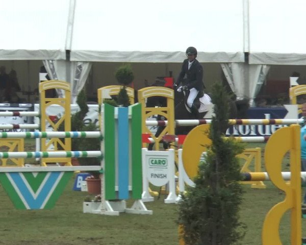 FEI Reitturnier Steinhagen (GER) 2014