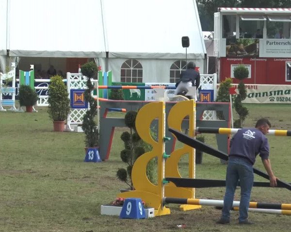 FEI Reitturnier Steinhagen (GER) 2014