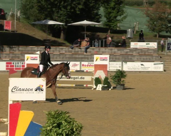 Reitturnier Duderstadt 2025