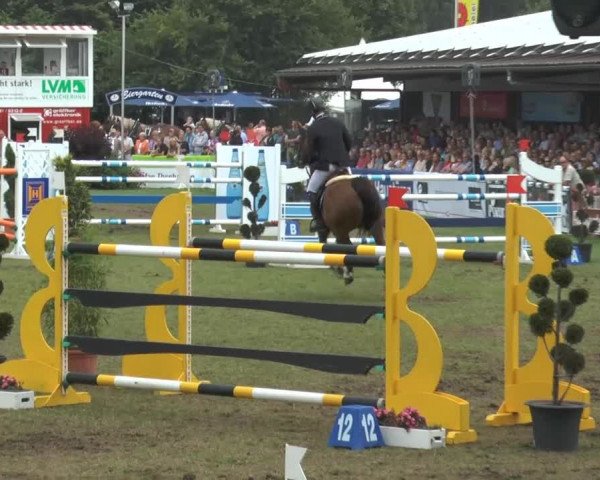 FEI Reitturnier Steinhagen (GER) 2014