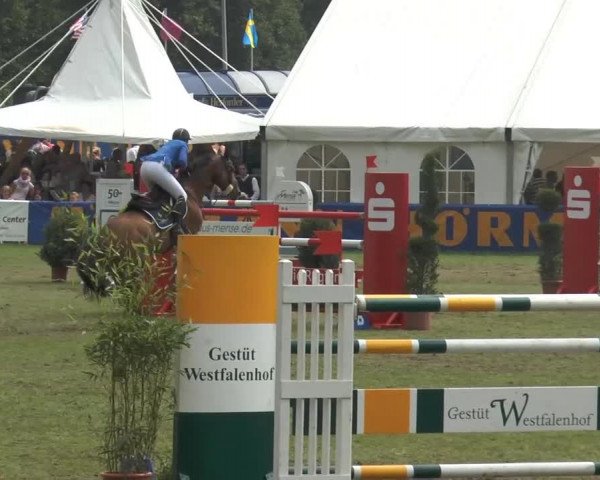 FEI Reitturnier Steinhagen (GER) 2014