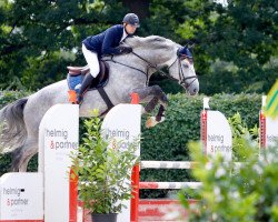Deckhengst Hells Bells Blue Rrh (KWPN (Niederländisches Warmblut), 2012, von Zirocco Blue)