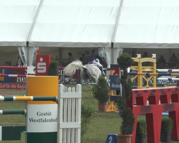 FEI Reitturnier Steinhagen (GER) 2014