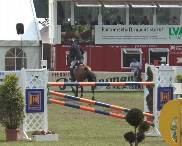 FEI Reitturnier Steinhagen (GER) 2014