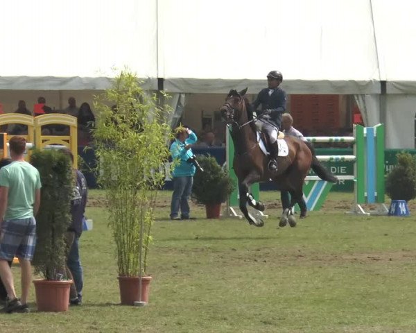 FEI Reitturnier Steinhagen (GER) 2014