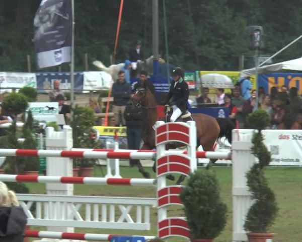 FEI Reitturnier Steinhagen (GER) 2014