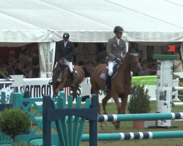 FEI Reitturnier Steinhagen (GER) 2014