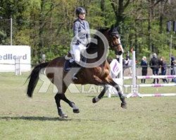 jumper Little Bad Girl (Holsteiner, 2008)