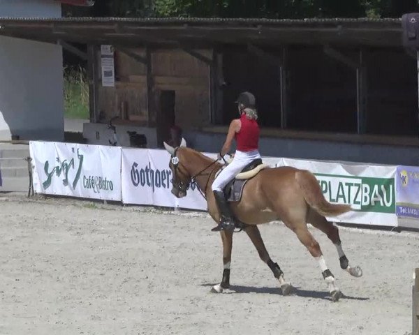 KPVI-Meisterschaften Hagau 2014
