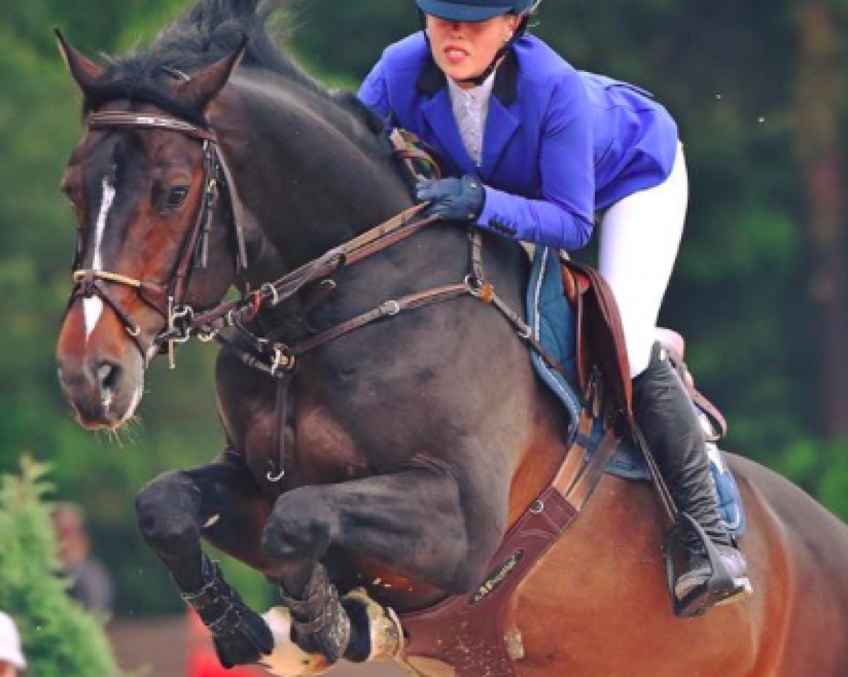Springpferd Charmeurs Hope (Holsteiner, 2007, von Caretino)