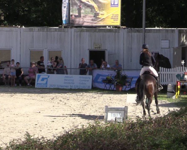 Reitturnier Pietzpuhl 2025