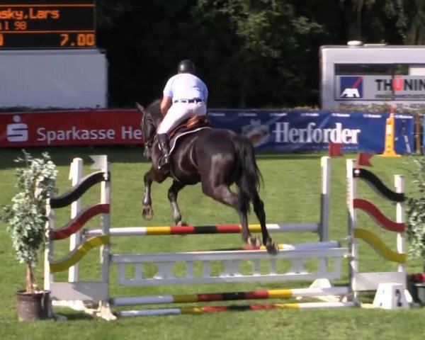 Dressur- und Springturnier Vlotho-Exter 2014