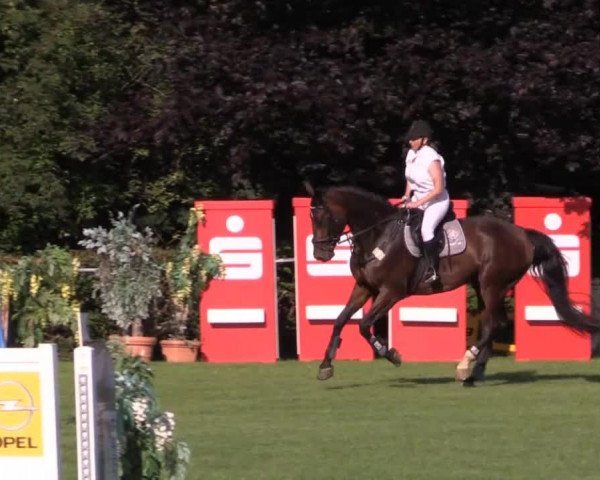 Dressur- und Springturnier Vlotho-Exter 2014