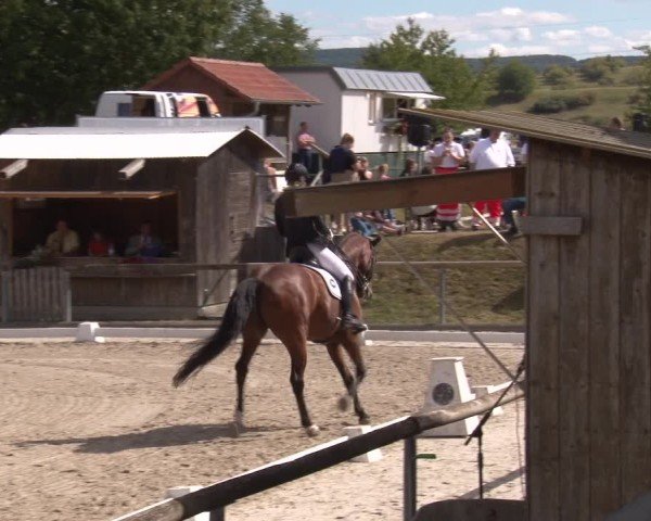 Reitturnier Großbardorf/Ufr. 2025