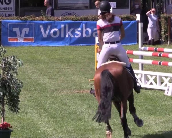 Dressur- und Springturnier Vlotho-Exter 2014