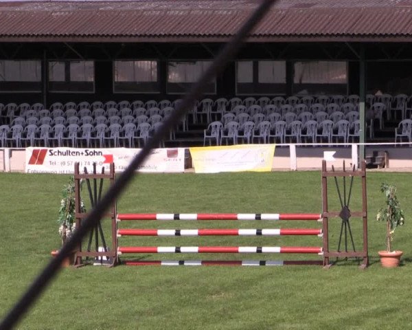 Dressur- und Springturnier Vlotho-Exter 2014