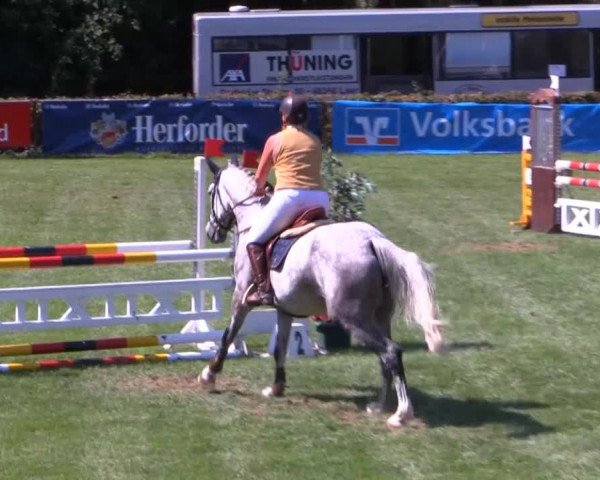 Dressur- und Springturnier Vlotho-Exter 2014