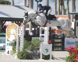 Jumper Conrad Sunheup Z (Zangersheide, 2009, from Calvados Z)