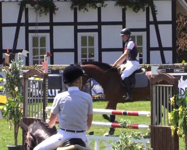 Dressur- und Springturnier Vlotho-Exter 2014