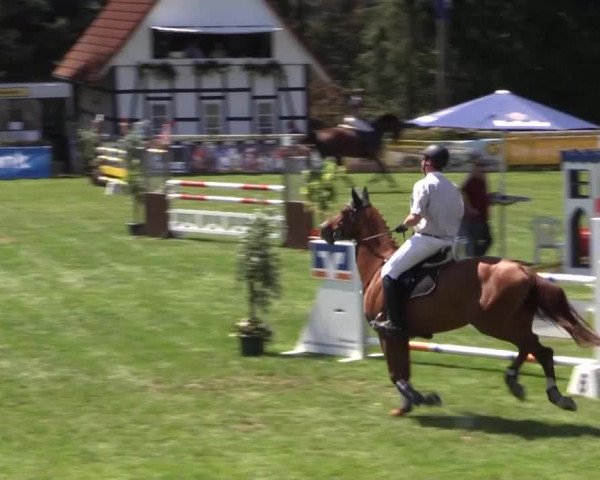 Dressur- und Springturnier Vlotho-Exter 2014