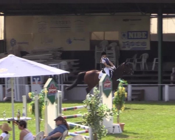 Dressur- und Springturnier Vlotho-Exter 2014