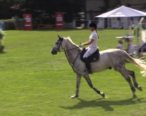 Dressur- und Springturnier Vlotho-Exter 2014