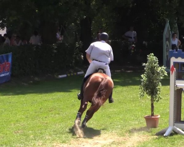 Dressur- und Springturnier Vlotho-Exter 2014