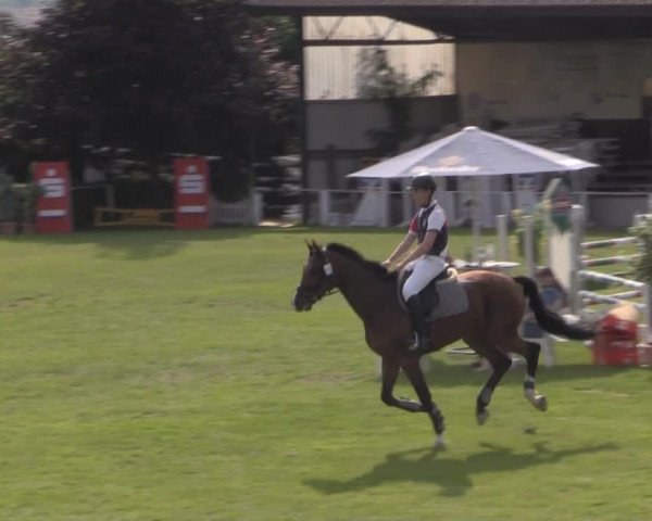 Dressur- und Springturnier Vlotho-Exter 2014