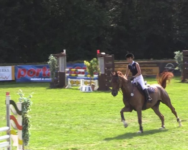 Dressur- und Springturnier Vlotho-Exter 2014