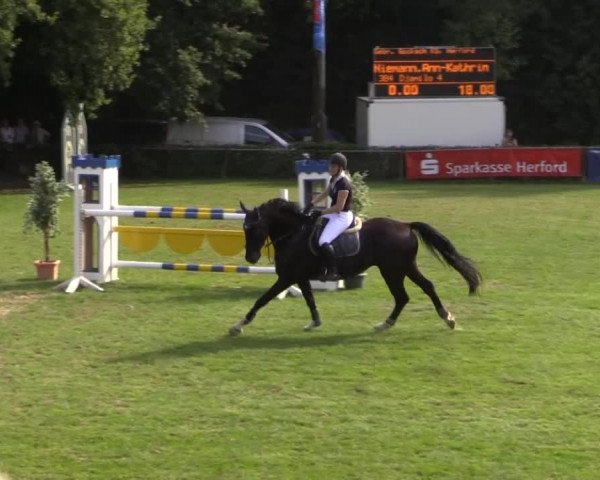 Dressur- und Springturnier Vlotho-Exter 2014