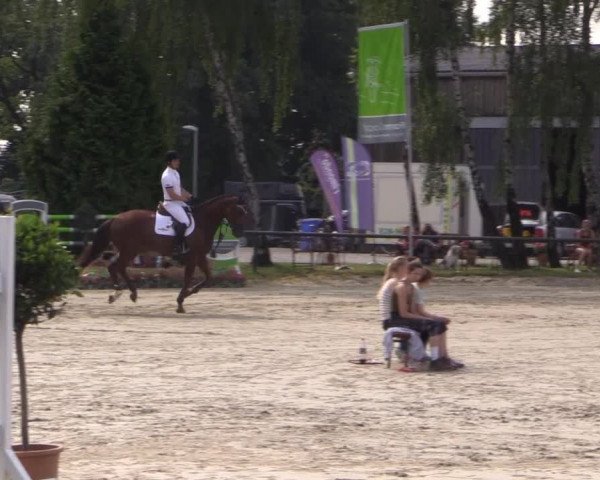 Großes Reit- und Springturnier Herbern 2014