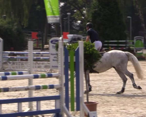 Großes Reit- und Springturnier Herbern 2014