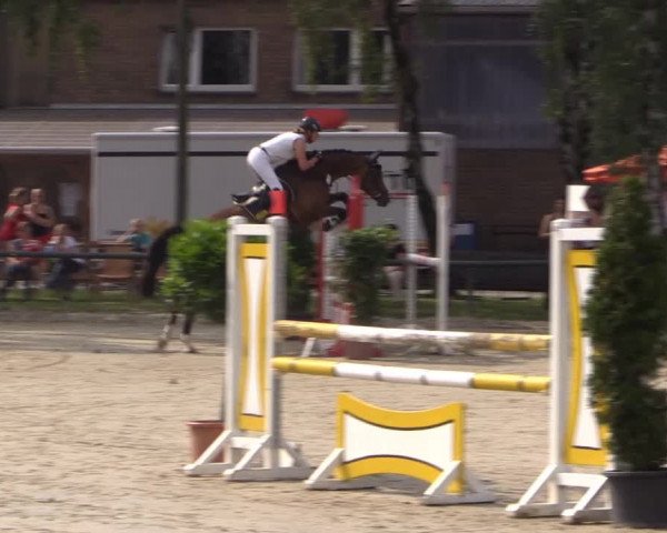 Großes Reit- und Springturnier Herbern 2014